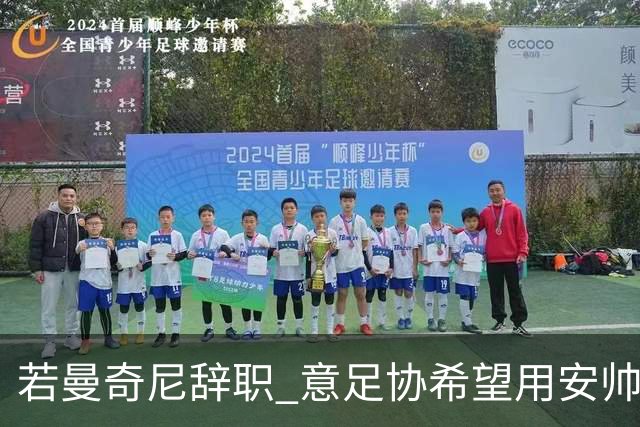 若曼奇尼辞职 意足协希望用安帅或卡纳瓦罗替代